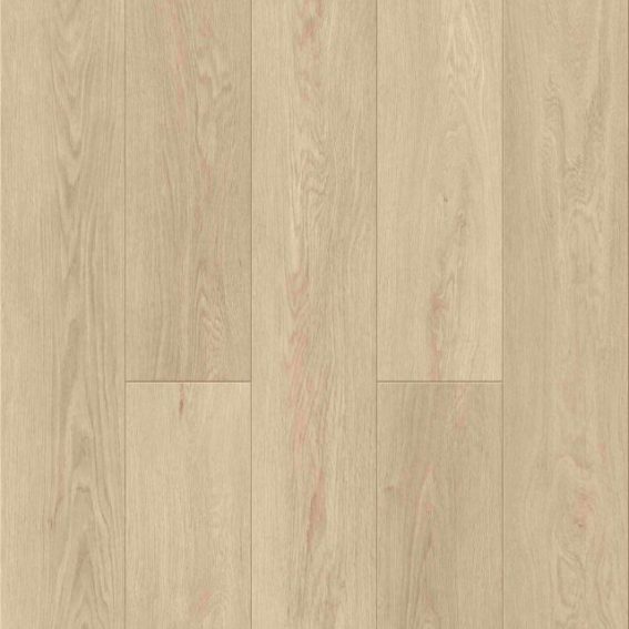 Creamy Chai SPC Flooring with a Gentle Light Tone for Auckland Properties