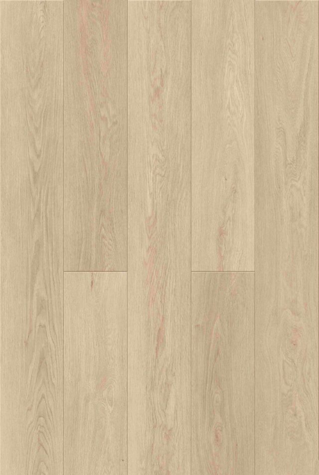 Creamy Chai SPC Flooring with a Gentle Light Tone for Auckland Properties