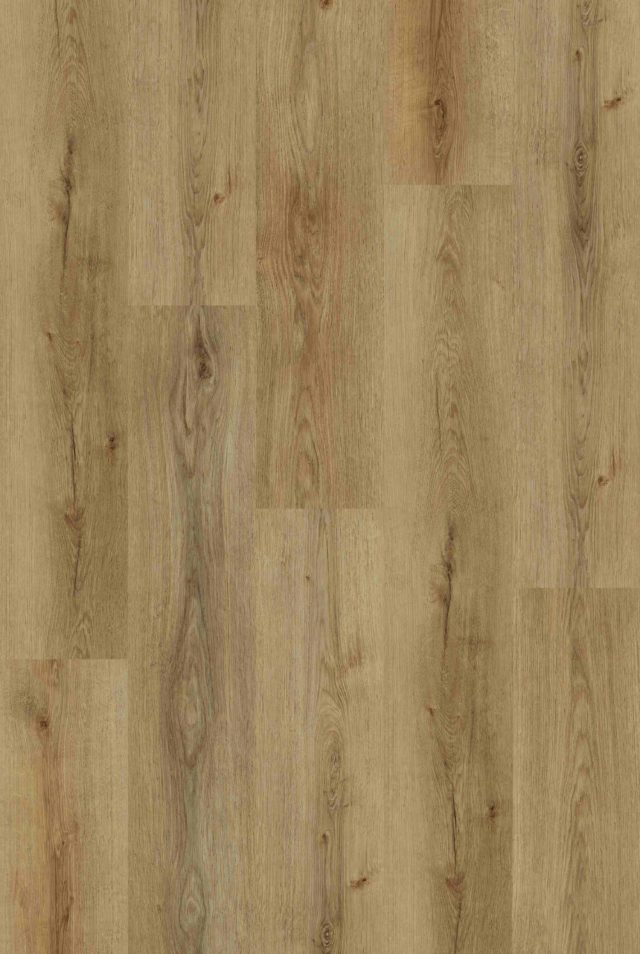 European Oak SPC Flooring with a Classic Natural Look for Auckland Homes